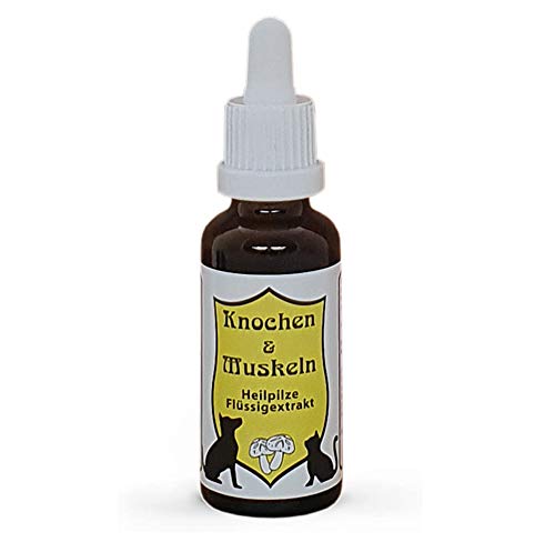CatAmore Vitalpilze Flüssigextrakt für Tiere Heilpilze Mykotherapie | Knochen & Muskeln | Nahrungsergänzungsmittel 30ml Cover