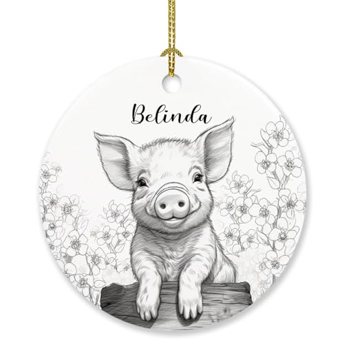 Personalized Pig Christmas Ornament Gift, Drawing Pencil Pig Ornaments Gifts for Men Women Pig Lovers, Cute Pig Ornament Christmas 2025, Customized Name Pig Lover Ornaments Keepsakes Xmas Tree Gift