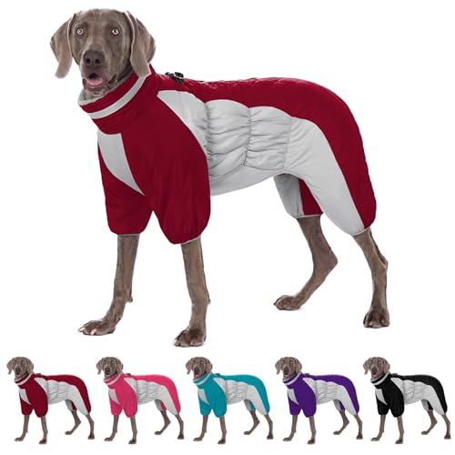 Dog Snowsuit The 15 best products compared Wild Explained