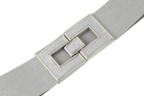 Women's Stretchy Waist Belt Vintage Retro Elastic Cinch Belts Waistband For Dresses (Silver+Silver Buckle, Suit For Waist Size 27"-35")2