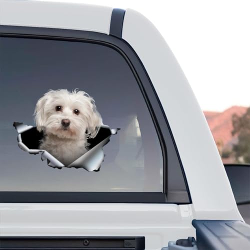 Image of Cute Dog Stickers for Car Window Decals Waterproof Funny Sticker (Maltese Car Sticker)