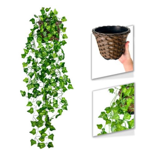 Arranjo C/ 3 Trepadeira Folha De Hera + Vaso Trançado Marrom