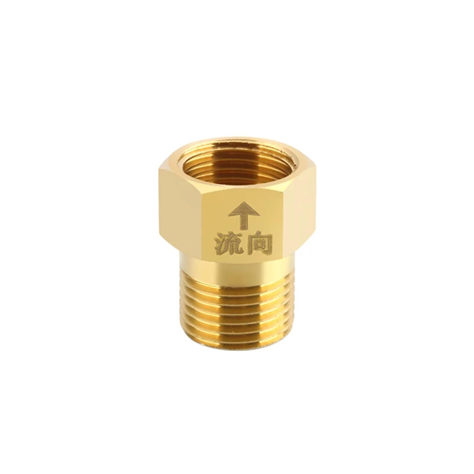 1/2" Brass 1-Way Non Return Check Valve(Female to Male)