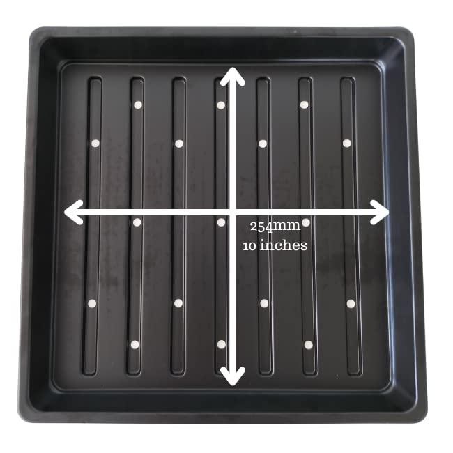 1010 bandejas de cultivo de microgreens (paquete de 20) bandejas poco profundas premium de 10 x 10 pulgadas para cultivar microgreens y pasto de trigo, 10 bandejas con agujeros y 10 bandejas sin