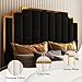 AMERLIFE King Size Upholstered Bed, Modern Velvet Bed Frame with 65.4” Tall Gold Trim Headboard, No Box Spring Needed, Black