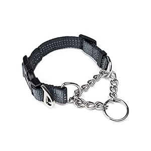 Mighty Paw Martingale Collar with Buckle | Training Dog Collar, Limited Cinch Chain Pet Gear for No Pull Dog Walking. Martingale Dog Collars for Large Dogs, Medium Breeds and Small Pets