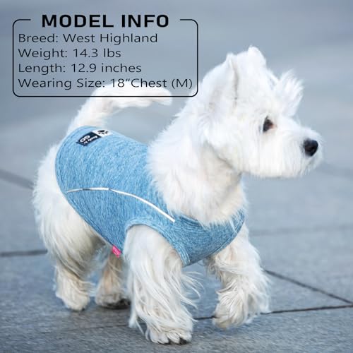 KYEESE Reflective Dog Shirt, Lightweight Sun Protection Dog T Shirts for Small Dogs, Breathable Sleeveless Pet Tank Top High Visibility Summer Dogs Clothes for Night Walking Outdoor, Grey, L - Image 7