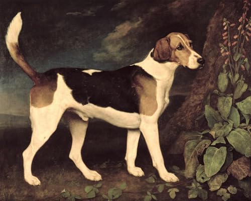 Carteles impresiones Ringwood e Brocklesby Foxhound para decorar salones rústicos