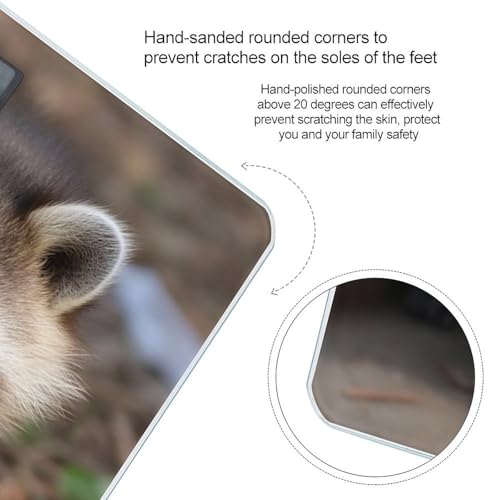 Báscula Digital de Vidrio Templado Cub Raccoon miniatura 4