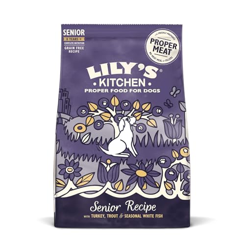 Lily's Kitchen Salmon & Trout Adult 8+ Complete Dry Dog Food, 1kg