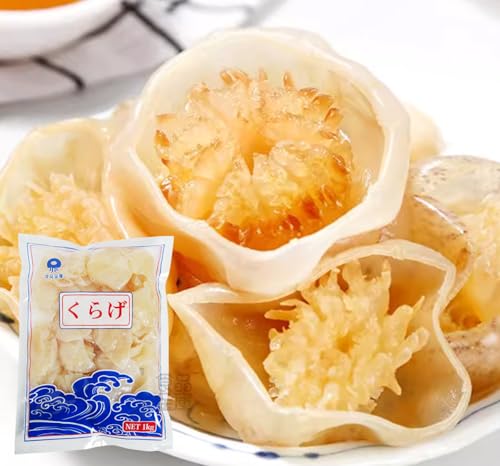 Hi  ~jNQ1kg Ɩp 炰 Ђ Hp ₵؂ O hg 炰