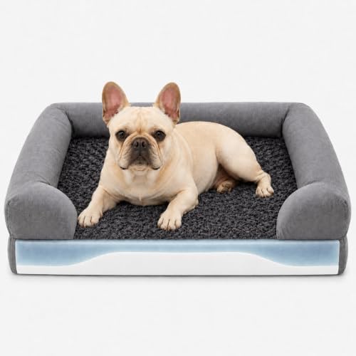 Orthopädisches Hundebett, 78 × 58 × 16 cm, Hundebett Kleine Hunde, Hundekorb mit Memory-Schaum & Stützschaum, ergonomischem Rand, rutschfestem Boden, wasserdicht, Bezug abnehmbar &