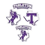 Desert Cactus Tarleton State University Texans Sticker Decal (T2)