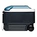 Igloo Quart MaxCold Cooler