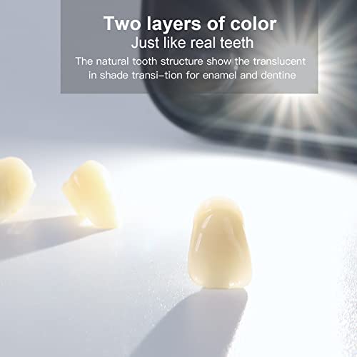 Image of JMU 28 Pcs /Set Dental Acrylic Resin Denture Teeth Shade A1 T6 Resin Synthetic False Teeth (Pack of 2)