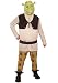 Shrek Deluxe Costume, Green, X-Large