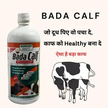 Image of Biodecent Bada Calf Immunity Booster | Strong Growth & Gut Health Supplement for Newborn Calves | Supports Liver, Blood & Digestion | 1 Litre Liquid