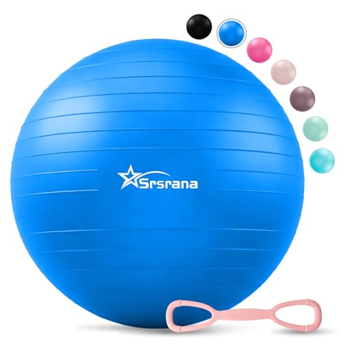 Srsrana Exercise Ball Chair