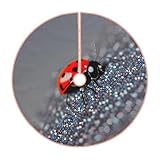 Facile à installer : avec un design ouvert, il s'adapte facilement autour de la base du sapin de Noël, et le cordon de serrage ou le design crochet et boucle empêchent la jupe de sapin à motif coccinelles de glisser ou de se déplacer.