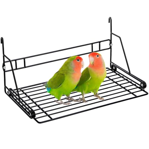 Okllen Bird Perch Stand, Bird Cage Platform Wire Patio Sundeck Playground for Parrots Cockatiels and Small Birds, 12" Lx8 W