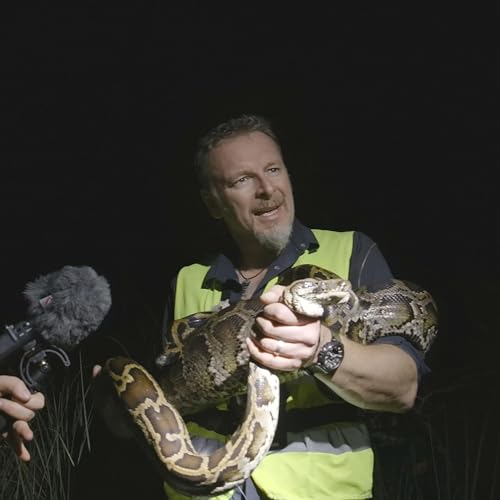 Invasion of the Burmese pythons, part 1 Podcast By  cover art