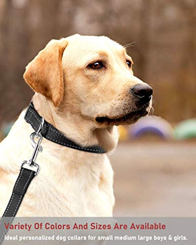 Image of Reflective Dog Collar with Buckle Adjustable Safety Nylon Collars for Small Medium Large Dogs, Black M