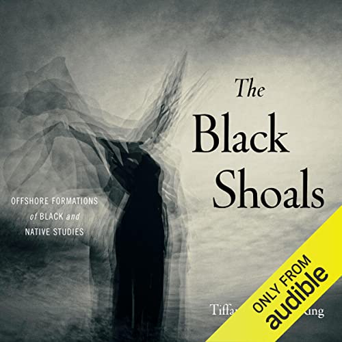 The Black Shoals by Tiffany Lethabo King episode artwork