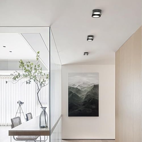podafu Nordic Style Ceiling Light, Ultra-Thin Exposed Mounted Down Lamp, Ultra-Thin Design Aluminum Ceiling Lamp, Hole-Free Astigmatism Downlight for Living Room Hallway Bedroom/Black 3000K/2 Lights