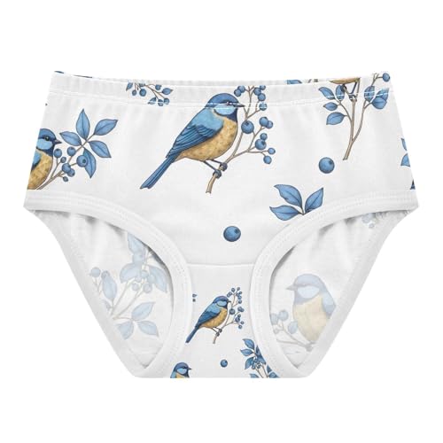 Cute Birds Blue Flowers Toddler Girl Underwear, Girls Cotton Underwear, 2T–8 Years
