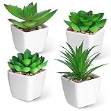 Decoración favorita: La carne artificial tiene formas encantadoras y colores hermosos, ideal para familias, oficinas, baños, dormitorios, escritorios, alféizar de la ventana, estanterías y decoraciones de bodas.Y las pequeñas macetas jugosas también son adecuadas para cumpleaños, San Valentín, Navidad, día de la madre, día del maestro y otros regalos de vacaciones para nuestros amigos y familiares y maestros.