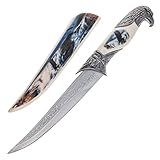 ASR Outdoor 13 inch Decorative Soaring American Eagle Etched Blade Collectors Hunting Knife, Ornamental Scabbard and Handle
