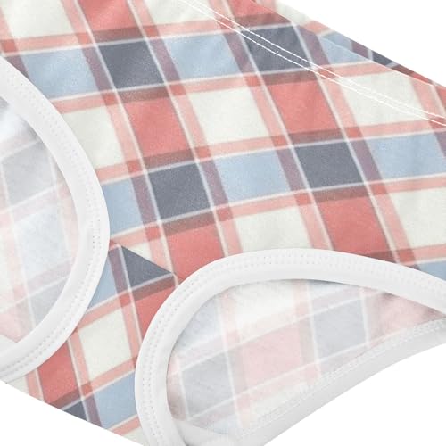 Red White Blue Plaid Girls' Panties Organic Cotton Toddler Underwear for Baby Girls in Sizes 2T,3T, 4T, 5T, 6Y and 8Y4