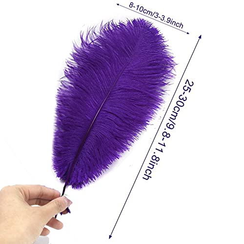 9 Pcs Mardi Gras Ostrich Feathers For Crafts-12 Inches Green Purple Gold Natural Ostrich Bulk Feathers For Mardi Gras Diy Crafts Party Decorations Carnival Costume #TOP6