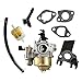 Produktbild HURI Vergaser für Honda GX160 5.5hp Gx200 6.5Hp Generator Wasserpumpe Chinesisch Motor Ink. Ansaugstutzen, Dichtungen, Benzinfilter, Schlauch