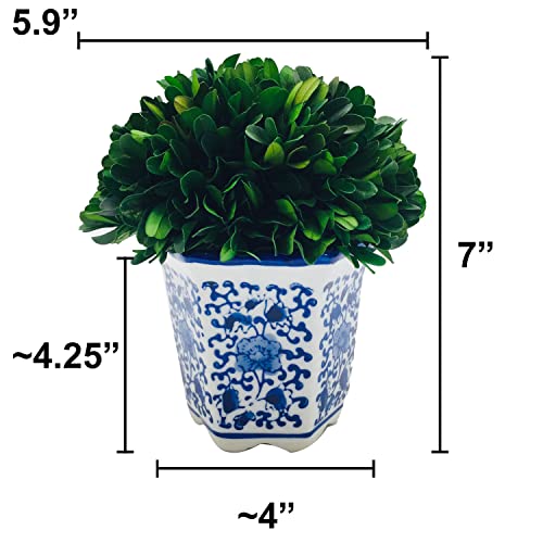Galt International 7 Inch Naturally Preserved Real Boxwood Ball In Hand-Painted Blue & White China Pot Planter Green Indoor Plant Home Decor  thumb #3