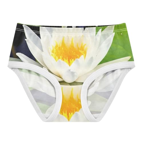 Cotton Girls Underwear Toddlers White Water Lily Floral Green Leaves Cute Panties Girl Fun Print Underpants Briefs 2t