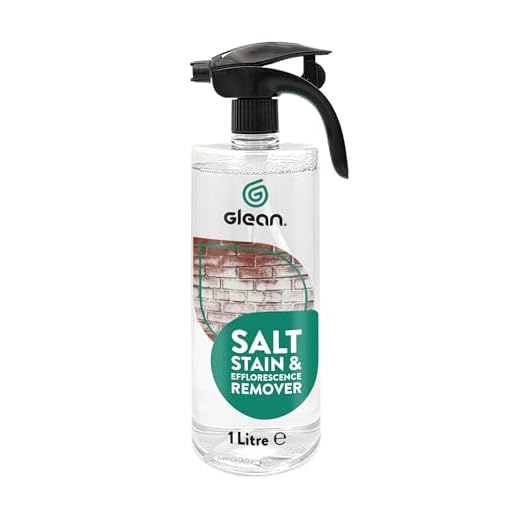 GLEAN Salt Stain Remover for Brick