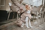 Hunter Hundemantel Uppsala, Farbe: Taupe, 2in1 Design mit herausknüpfbarem Innenfutter, wasserabweisend, reflektierende Paspeln, geschlossene Bauchseite, optimaler Sitz, Größe: 27,5