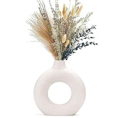 Idea Regalo - Vaso Creativo per Erba della Pampa, Fatto a Mano in Ceramica Bianca Fiori Secchi Ornamenti Artigianali per la Decorazione Moderna della Casa dell'Ufficio(S, Beige)