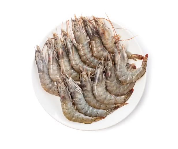 Fresh Ecuadorian White Jumbo Shrimp, Head-On Shell-On, 5 lbs, 15-25 Count per lb