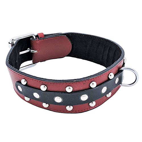FDC Genuine Leather 2" Wide Rivet Dog Collar for Medium and Large Breeds (XL: Neck 19" - 23")