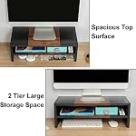 TEAMIX 2 Tiers Desktop Monitor Stand Riser 20 Inch Printer Stand with Storage Small TV Riser Laptop Wooden Desk Organizer Shelf Bookshelf