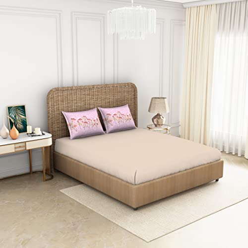 Image of Spaces 100% Cotton Bedsheet Large Anti Viral Soft Feel Skin Safe 144 Tc Beige Bedsheet King Size Bed Cotton