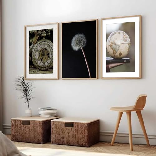 Image of HOTHOUSE Abstract Painting Home Decorative Abstract Wall Art poster With Frame For Living Room Bed Room Hotel Wall Decor Digital Reprint Set of 3 (19X25 inch)