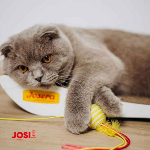 Image of JosiCat Kitten Junior Premium Dry Food for Growing and Carrying (1.9kg x1) & Lactating Cats with High Energy Content & Valuable Salmon Oil & Vitamins Powered by Josera