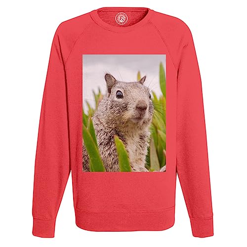 Sweatshirt homme marmotte : le cadeau idéal pour fan de nature