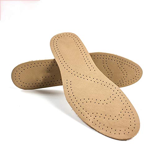 �X�|�[�c�p�C���\�[�� �Ă̕��ꃉ�C�i�[�A���K��EVA���z�����J�W���A�����U�[�̃C���\�[�����J�b�g���邱�Ƃ��ł��܂� �ʋC�� �z�� (�F : Multi-colored, Size : 39-40)