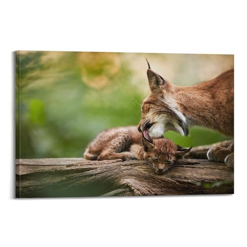 Impression sur toile lynx 50x75 cm habiller un grand mur vide WALS