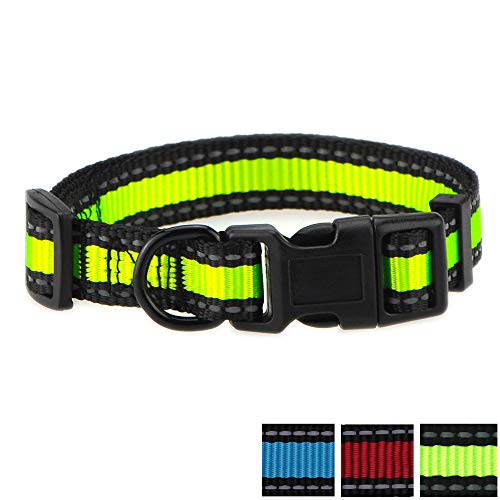 11 Best Reflective Dog Collars In 2023 Reviews & Top Picks Alpha Paw