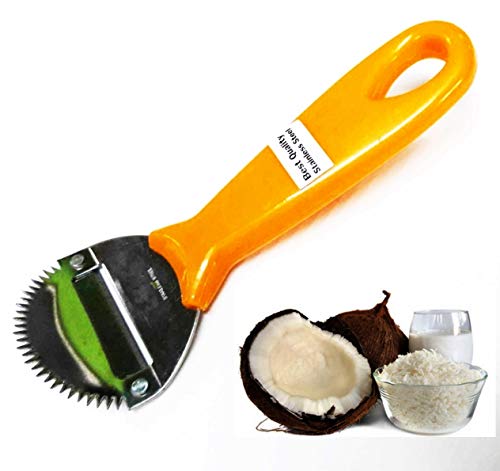 Dolphin, Coconut Grater Scraper Hand Blade Meat Kitchen Tool Stainless Steel